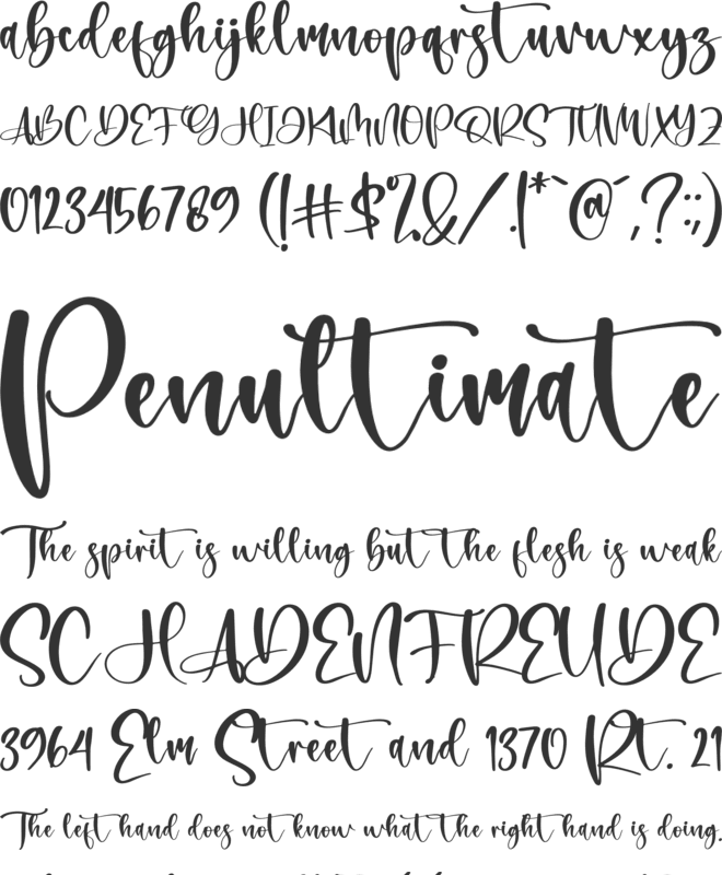 Belistica Beauty font preview