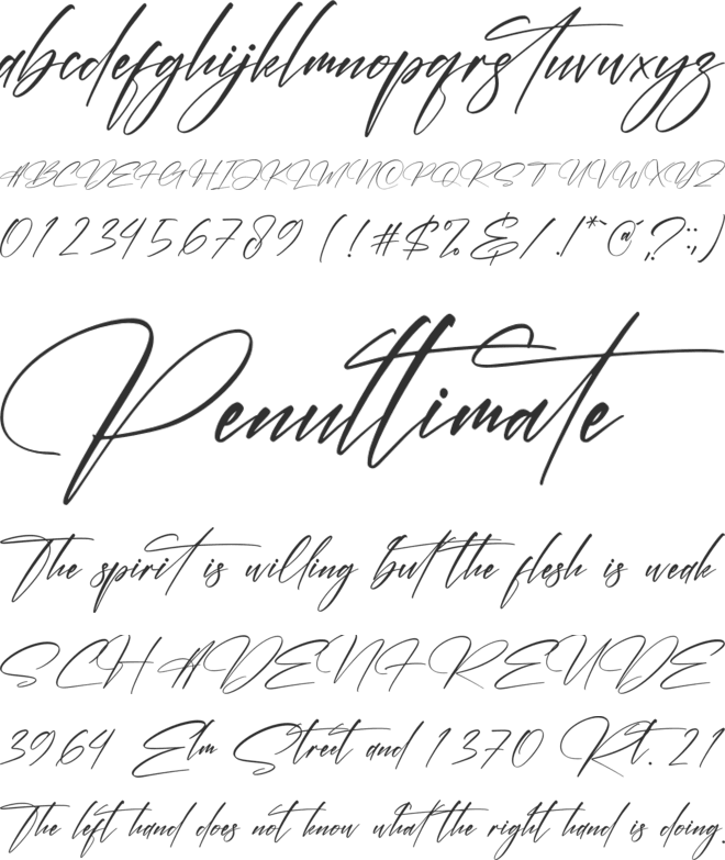 Thunderbold Signature font preview