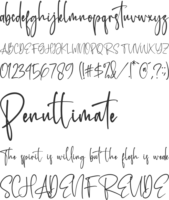 Rotherdam Signature font preview