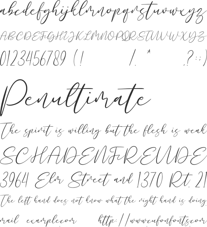 Mastyle Script font preview