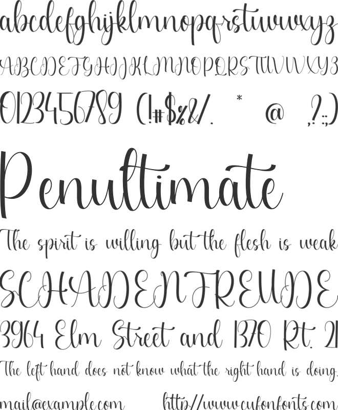 Diane Elizabet font preview