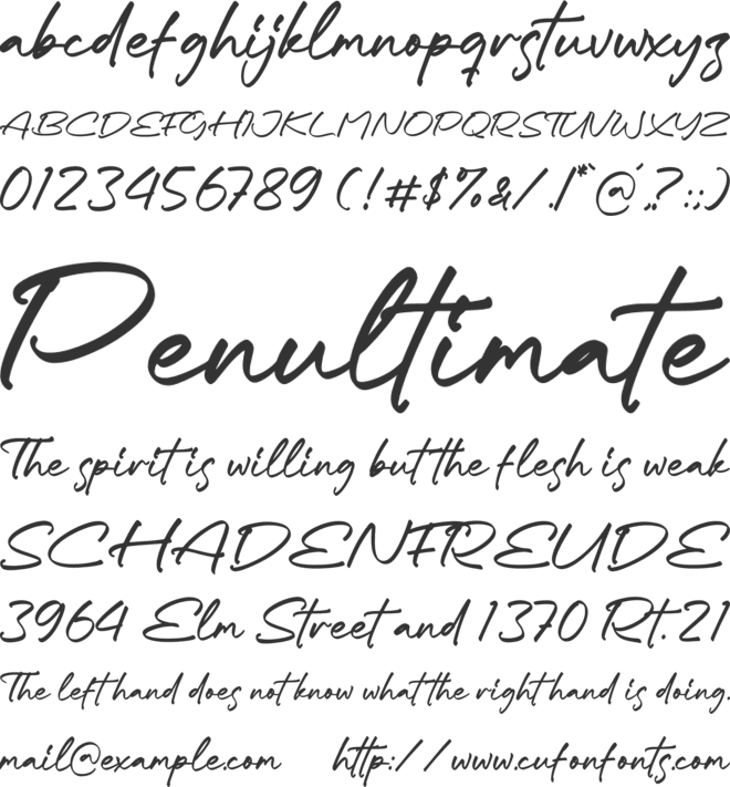 Charstter Fieldman font preview