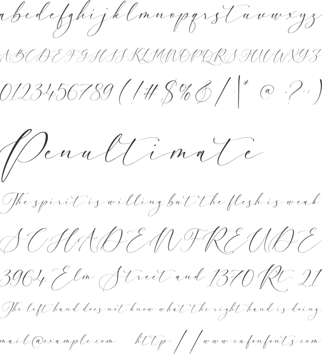 Rosekiller font preview