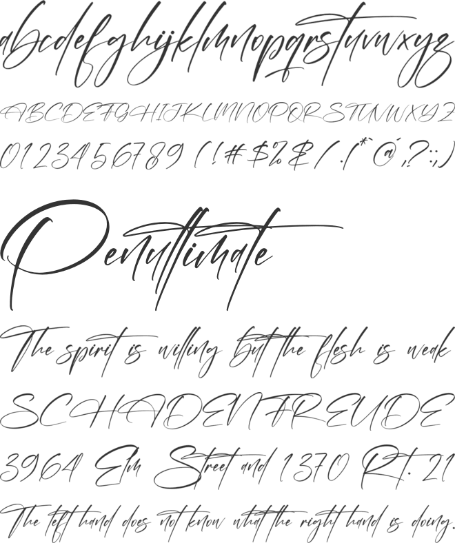 Bermingham Diamond font preview