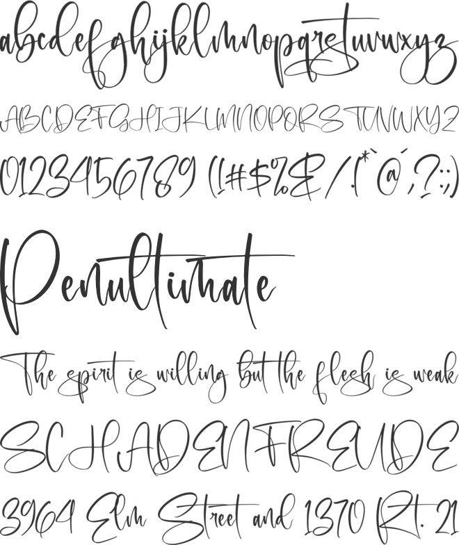 Metteorid font preview