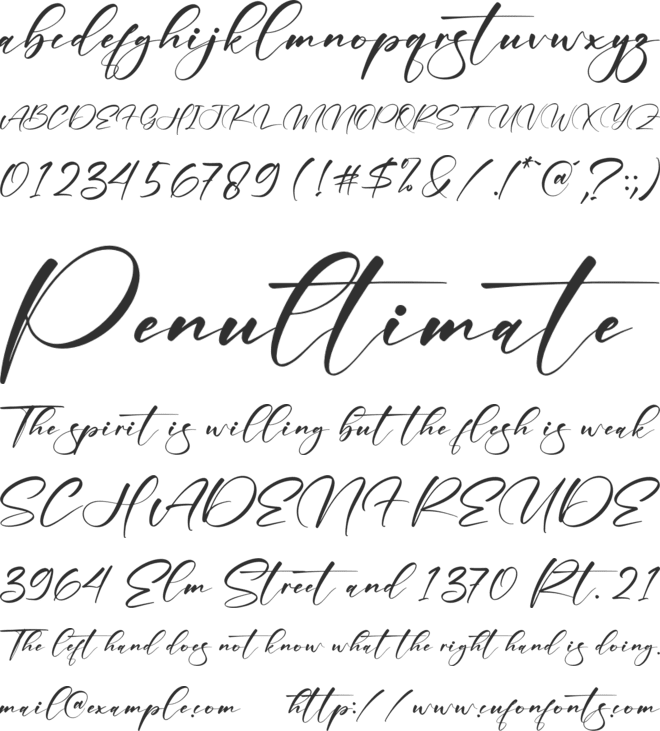 Amstera font preview