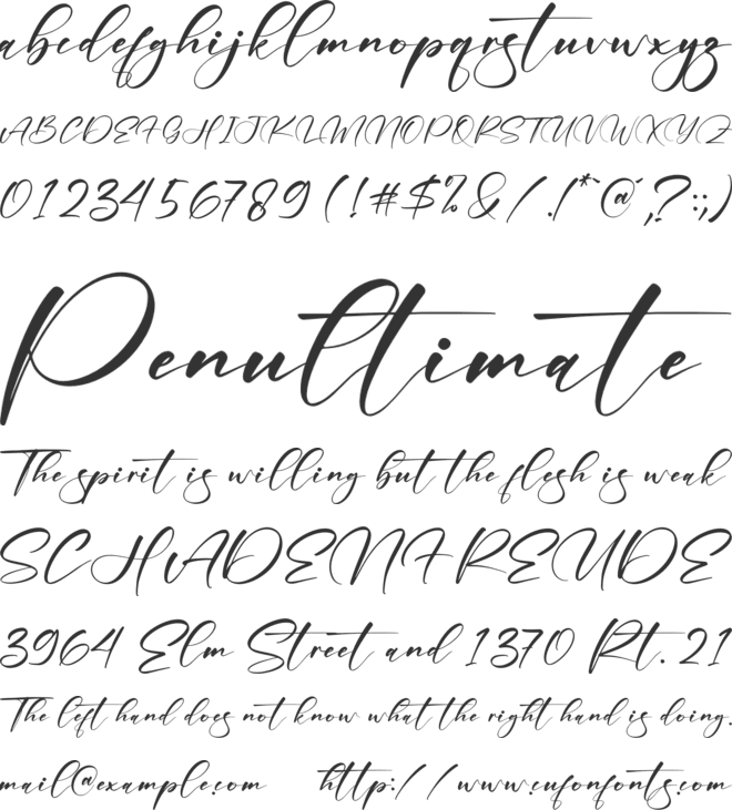 Amstera font preview