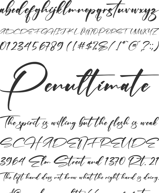 Pettrick Belinst font preview