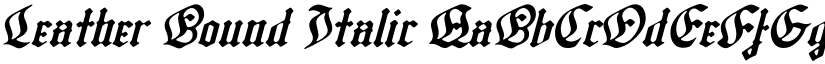 Leather Bound Italic font
