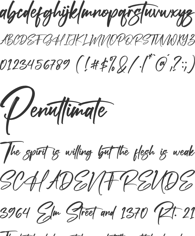 Pandora Rogtars font preview