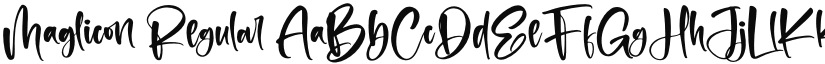 Maglicon font download