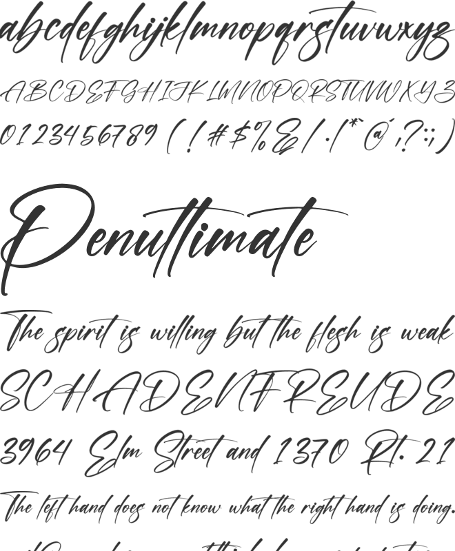 Rollasa Alayni font preview