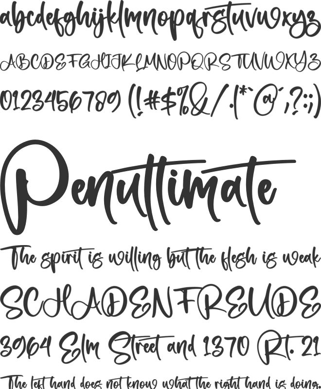 Netherland font preview