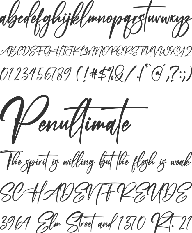 Beach Paradise font preview