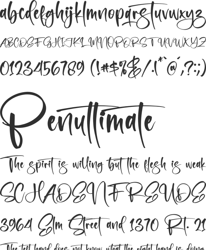 Monglass font preview