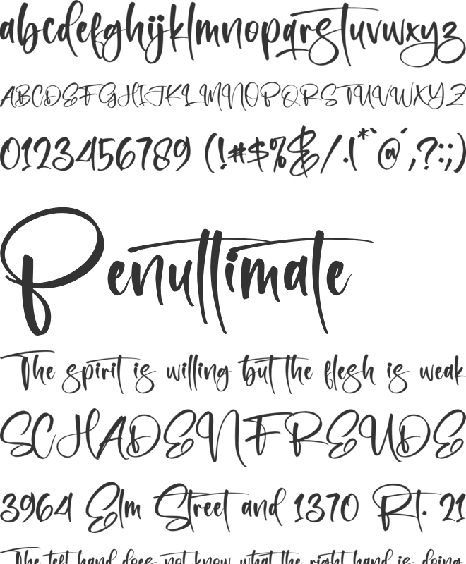 Monglass font preview