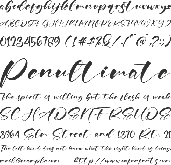 Wonder Dreams font preview