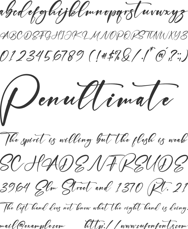 Newlive Malldive font preview