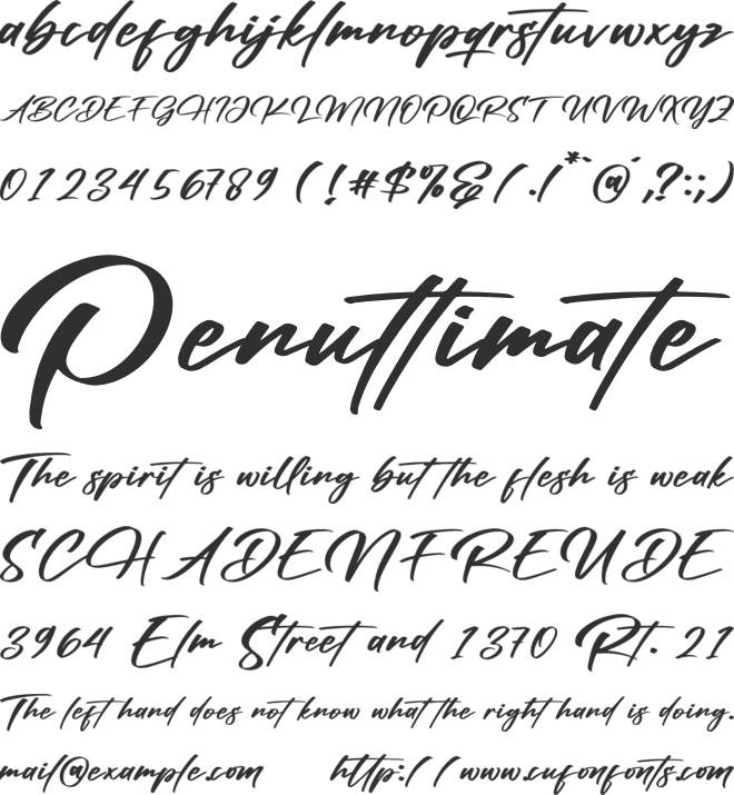 Ronsttom Dollast font preview