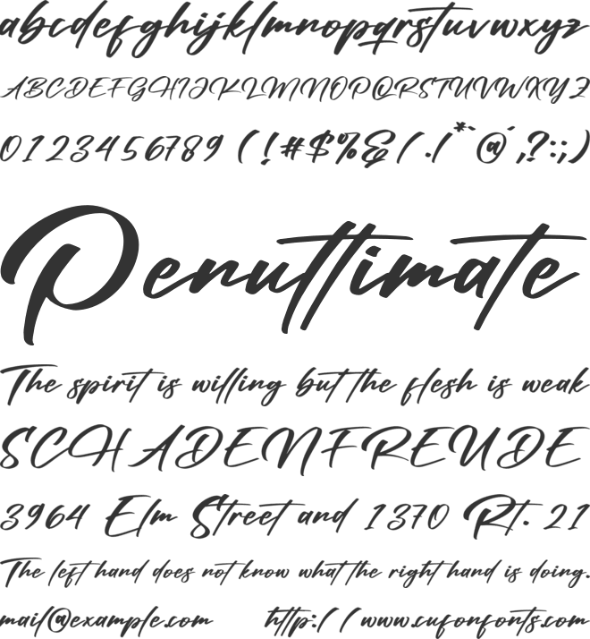 Ronsttom Dollast font preview