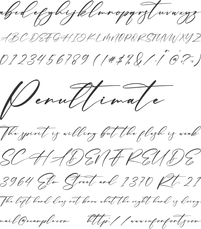 Alexander font preview