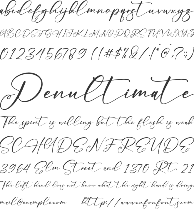 Merachel Angelika font preview