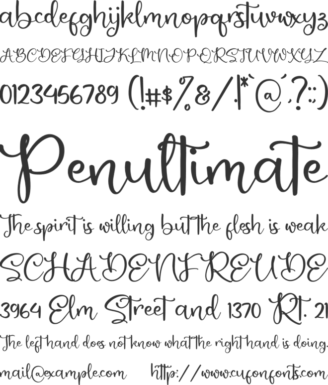 Monday Bright font preview