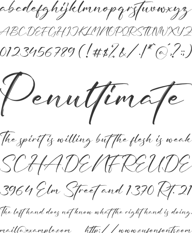 Bright Rose font preview