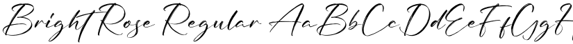 Bright Rose Regular font