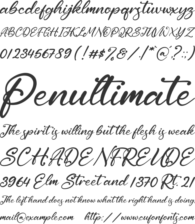 Cantika Sarah font preview