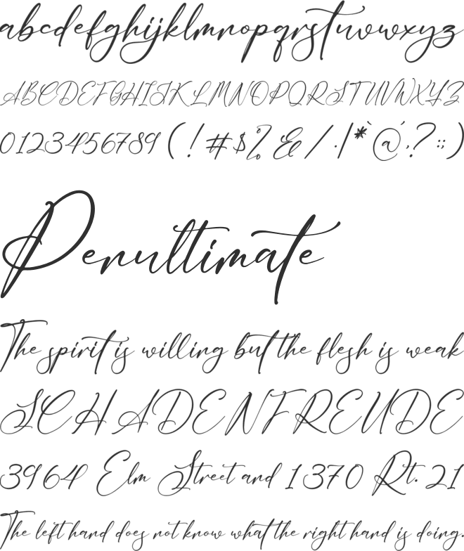 Delistaria Signature font preview