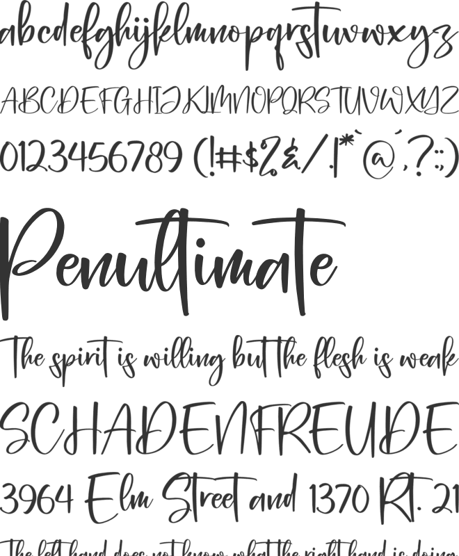 Berlina Dreams font preview