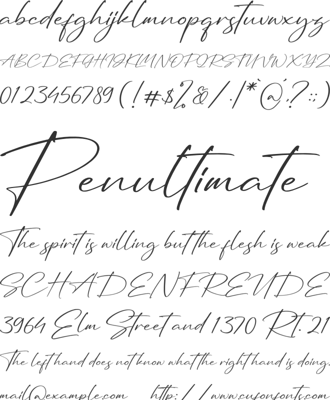 Renaldysta Siganture font preview