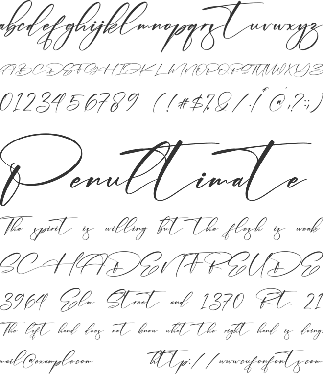 Bohemia Florale font preview