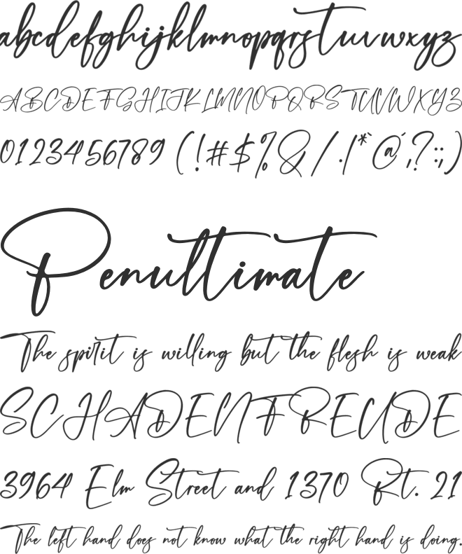 The Adams font preview