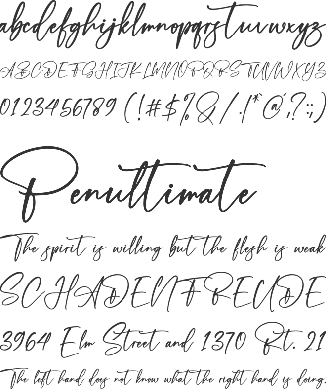 The Adams font preview