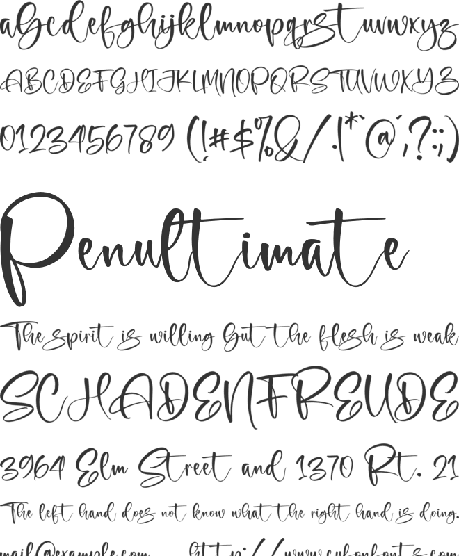 bluecar font preview