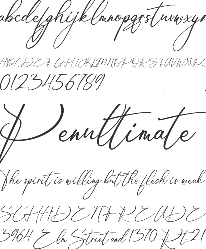 Amsterdam Handwriting font preview