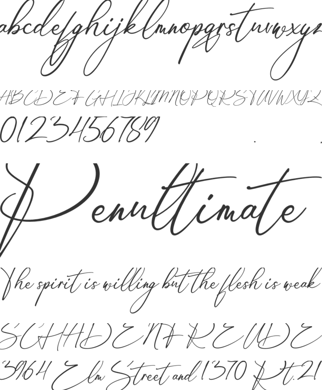 Amsterdam Handwriting font preview
