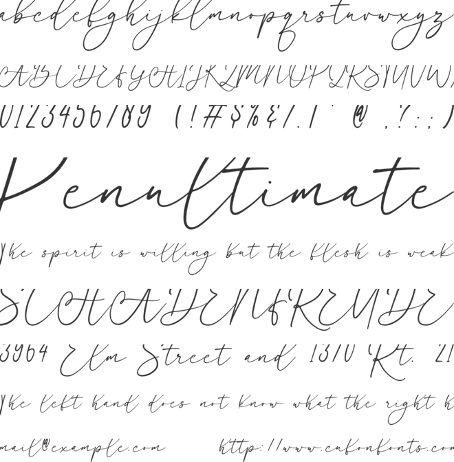 Dairy day font preview