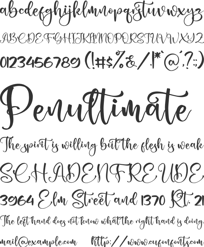 Ladytop font preview