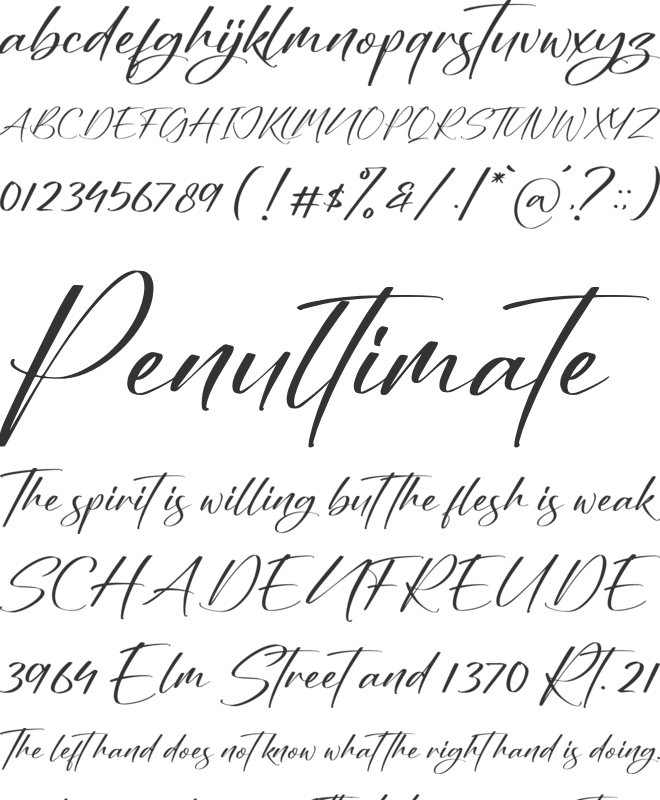 Nighty Bright font preview