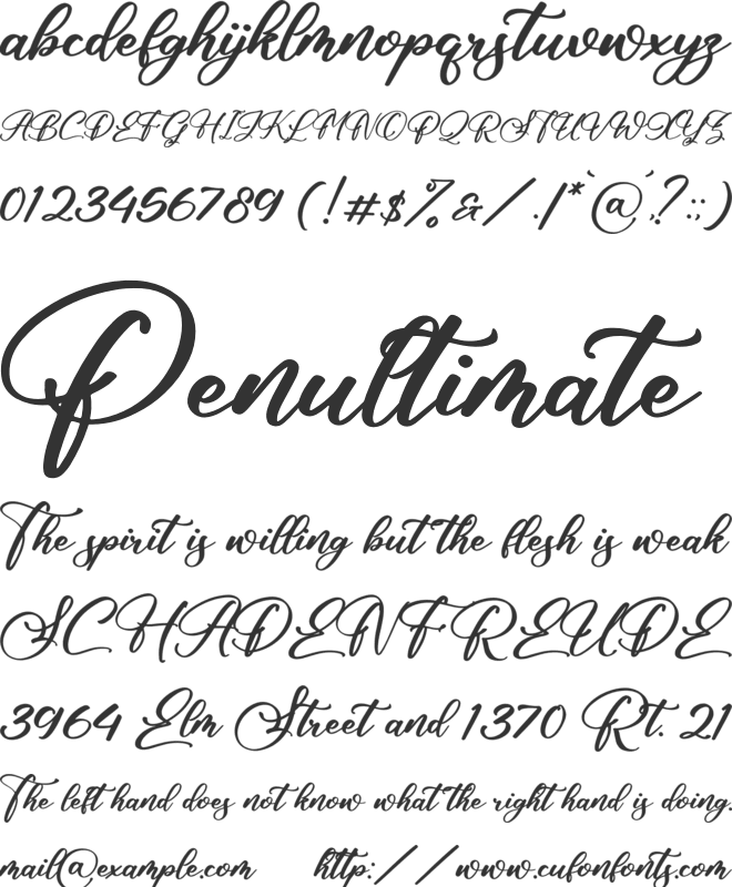 Alisha Cintia font preview