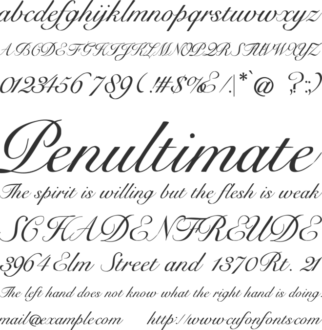 New York Font font preview