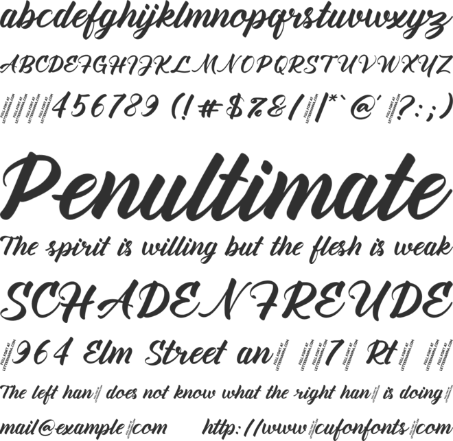 Amiable Forsythia Free font preview