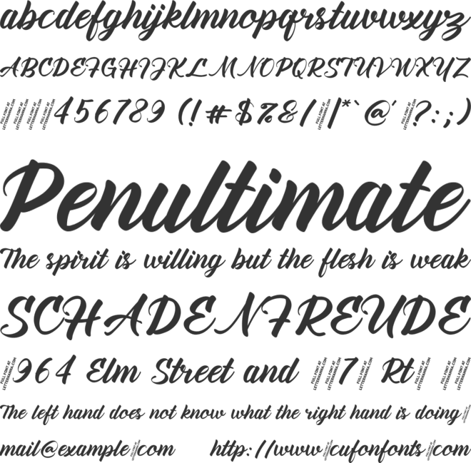 Amiable Forsythia Free font preview
