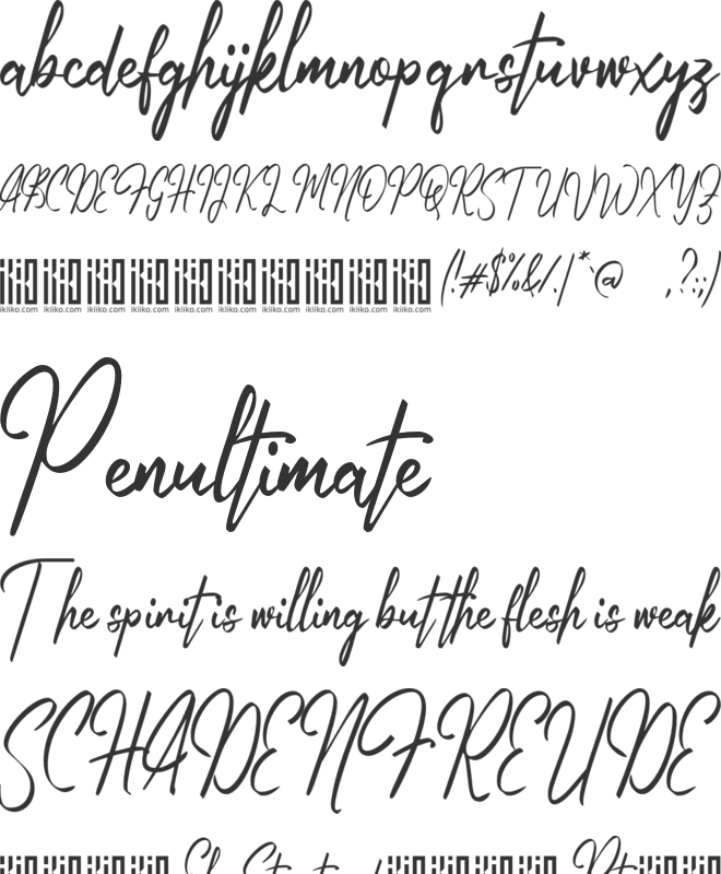 Autumn Field font preview