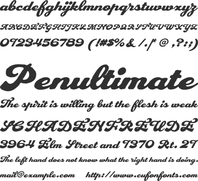 Plastun Script font preview
