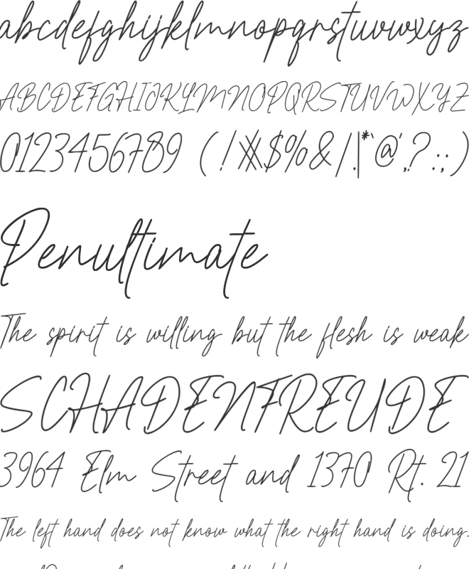 Restiny Sallmi font preview
