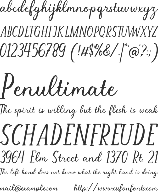 Anything Moment font preview